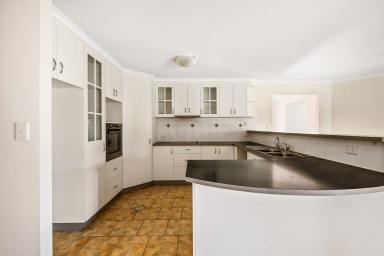 House Leased - QLD - Middle Ridge - 4350 - A hidden gem in Middle Ridge  (Image 2)