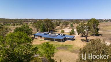 Other (Rural) For Sale - NSW - Inverell - 2360 - Prime Irrigation Property  (Image 2)