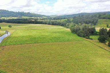 Mixed Farming For Sale - NSW - Kyogle - 2474 - "GHINNI GHI FARM" - 250 ACRES WITH IRRIGATION  (Image 2)