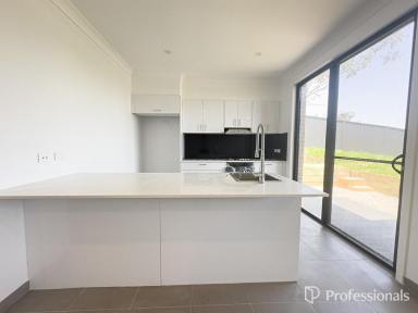 House Leased - NSW - East Tamworth - 2340 - Newly Built - 69A Valley Drive  (Image 2)