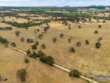 Residential Block Sold - SA - Eden Valley - 5235 - Perfect land holding. Flat to undulating land good water, wonderful sites for your amazing country home (STCC)  (Image 2)