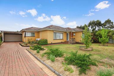 House For Sale - VIC - Cobden - 3266 - Solid, Sound and Affordable Opportunity in a Central Location  (Image 2)