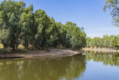 Lifestyle For Sale - NSW - Wagga Wagga - 2650 - Rare River Property Only Five* Minutes to the Wagga Wagga CBD  (Image 2)