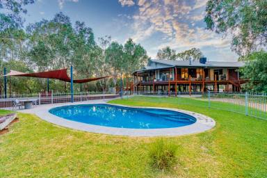 Lifestyle For Sale - NSW - Wagga Wagga - 2650 - Rare River Property Only Five* Minutes to the Wagga Wagga CBD  (Image 2)