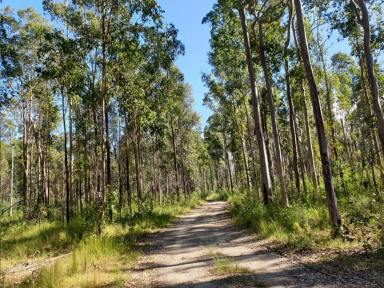 Lifestyle For Sale - NSW - West Bungawalbin - 2471 - A CUT ABOVE THE REST  (Image 2)