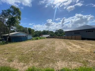 Residential Block For Sale - QLD - Macleay Island - 4184 - Cleared block - Ready to build  (Image 2)