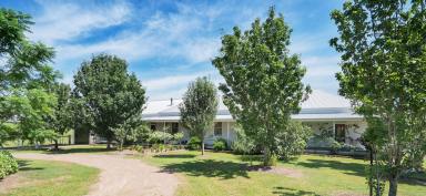 Lifestyle Sold - NSW - Vacy - 2421 - 'Glen Vista' Riverfront Rural Lifestyle  (Image 2)