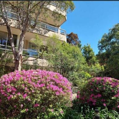 Apartment Leased - NSW - Cremorne - 2090 - Lifestyle Hub. North Facing Light filled Apartment  (Image 2)