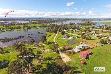 House For Sale - VIC - Longford - 3851 - Golf Course/Rural views, Minutes from town  (Image 2)