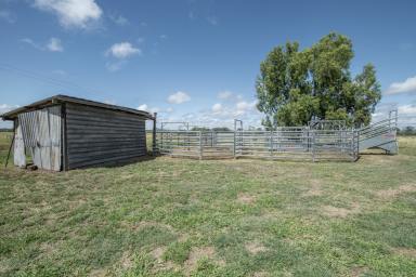 Acreage/Semi-rural Sold - QLD - Thangool - 4716 - Rural Lifestyle Opportunity Awaits  (Image 2)