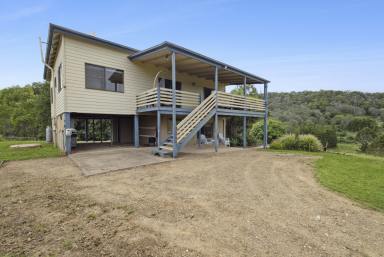 Acreage/Semi-rural Sold - QLD - Kandanga Creek - 4570 - Idyllic property with views from the top of the valley  (Image 2)