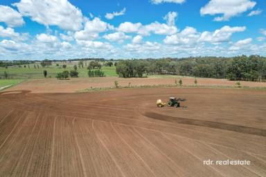 Mixed Farming For Sale - NSW - Inverell - 2360 - DIVERSE AGRICULTURAL PROPERTY  (Image 2)