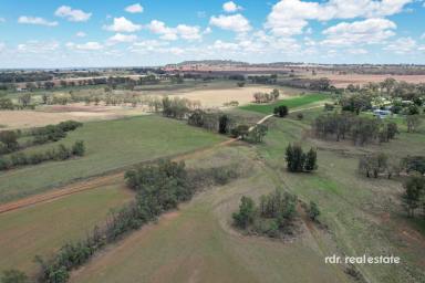 Mixed Farming For Sale - NSW - Inverell - 2360 - DIVERSE AGRICULTURAL PROPERTY  (Image 2)