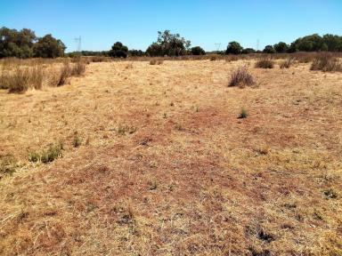 Acreage/Semi-rural For Sale - WA - Hopeland - 6125 - "I DID IT MY WAY" 138 Acres of Pure Serenity in Hopeland, WA. Don't Miss This Rare Opportunity!
TENDERS Close 5 pm - 30 April 2024  (Image 2)