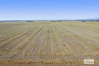 Cropping For Sale - VIC - Willaura - 3379 - Premium Cropping Opportunity  (Image 2)