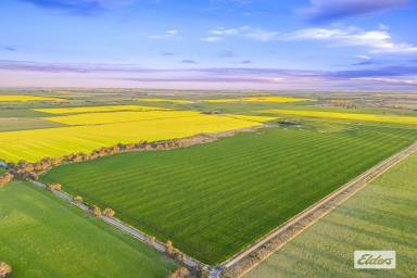 Cropping For Sale - VIC - Willaura - 3379 - Premium Western District Cropping Opportunity  (Image 2)