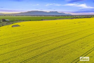 Cropping For Sale - VIC - Willaura - 3379 - Premium Western District Cropping Opportunity  (Image 2)