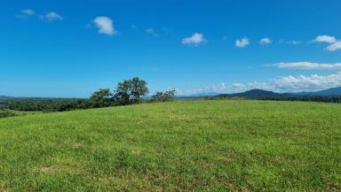 Other (Rural) For Sale - QLD - East Russell - 4861 - Acreage Property 12.5 Acres  (Image 2)