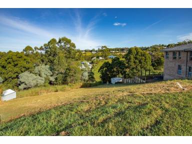 Residential Block For Sale - NSW - Tallwoods Village - 2430 - DA APPROVED BLOCK OF LAND FOR SALE  (Image 2)