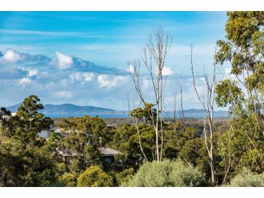 Residential Block For Sale - NSW - Tallwoods Village - 2430 - DA APPROVED BLOCK OF LAND FOR SALE  (Image 2)