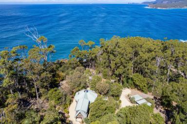 House For Sale - TAS - Eaglehawk Neck - 7179 - Terralinna! Nestled above the picturesque Sea cliffs of Eaglehawk Neck  (Image 2)