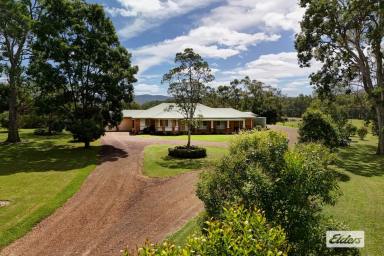 Lifestyle For Sale - NSW - Melinga - 2430 - ESCAPE TO THE COUNTRY  (Image 2)