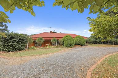 House For Sale - VIC - Drouin - 3818 - Classic Homestead, Versatile Sheds, Edge of Town  (Image 2)