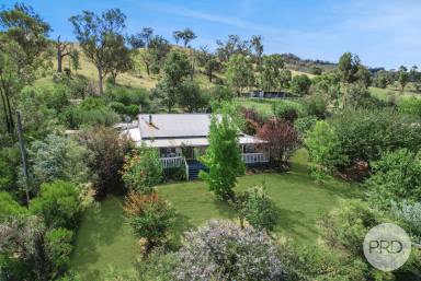 Lifestyle For Sale - NSW - Loomberah - 2340 - Priced to Sell! 5 Acre Lifestyle Retreat  (Image 2)
