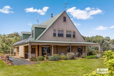 Acreage/Semi-rural For Sale - VIC - Toolleen - 3551 - Prestigious Toolleen District, Central Victoria, 155 Ac / 63 Ha.  (Image 2)