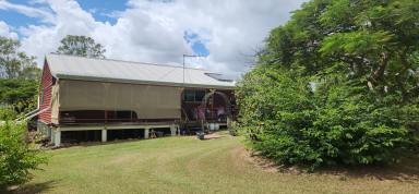 House For Sale - QLD - Damascus - 4671 - This beautiful 3 bedrooms, 1 bathroom home on 22 acres  (Image 2)