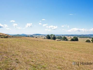 Residential Block For Sale - TAS - Preston - 7315 - 130 Acres of High Quality Land  (Image 2)