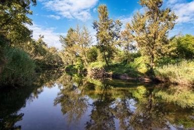 Residential Block For Sale - NSW - Runnyford - 2536 - 55 Acres on Buckenbowra River  (Image 2)