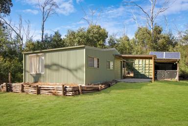 Residential Block For Sale - NSW - Runnyford - 2536 - 55 Acres on Buckenbowra River  (Image 2)