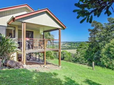 House For Lease - NSW - Clunes - 2480 - Modern 1 Bedroom Villa With Spectacular Rural Views  (Image 2)