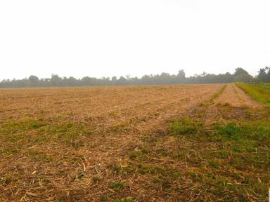 Residential Block For Sale - QLD - Munro Plains - 4854 - Fertile Farmland Property in Munro Plains  (Image 2)