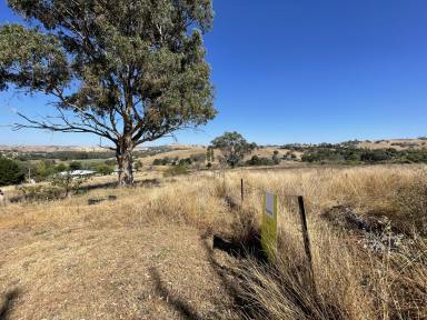 Residential Block For Sale - NSW - Jugiong - 2726 - 4 x OPPORTUNITY !!! Building blocks in Jugiong  (Image 2)