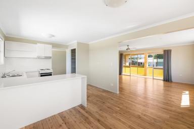 House For Lease - QLD - Rockville - 4350 - Spacious Home Near St. Andrews Hospital  (Image 2)