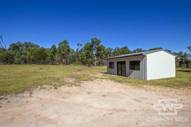 Lifestyle For Sale - NSW - Torrington - 2371 - Escape To The Country  (Image 2)