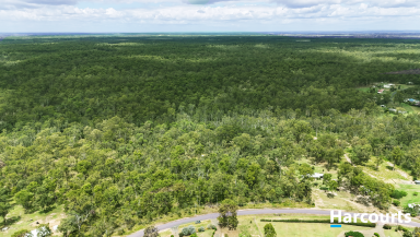 Residential Block For Sale - QLD - Bucca - 4670 - DID SOMEONE SAY TREE CHANGE?  (Image 2)