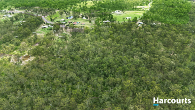 Residential Block For Sale - QLD - Bucca - 4670 - DID SOMEONE SAY TREE CHANGE?  (Image 2)