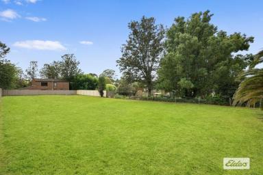 House For Sale - NSW - Picton - 2571 - Options galore! Subdivide, extend, renovate or secondary dwelling! 2024m2  (Image 2)