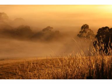 Mixed Farming For Sale - NSW - Firefly - 2429 - TOP OF THE WORLD  (Image 2)