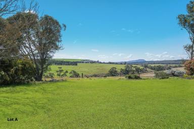 Livestock For Sale - VIC - Grenville - 3352 - DELIGHTFUL BALLARAT DISTRICT ACREAGES  (Image 2)