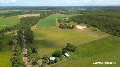 Cropping For Sale - QLD - Bungadoo - 4671 - 126 Cultivated Acres - Modern Brick Home - Burnett River Frontage  (Image 2)