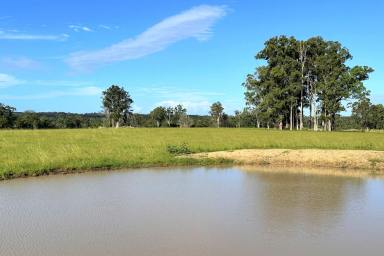 Residential Block For Sale - NSW - Possum Brush - 2430 - Vacant Acreage On The Highway!  (Image 2)
