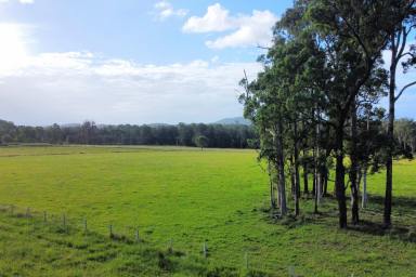 Residential Block For Sale - NSW - Possum Brush - 2430 - Vacant Acreage On The Highway!  (Image 2)