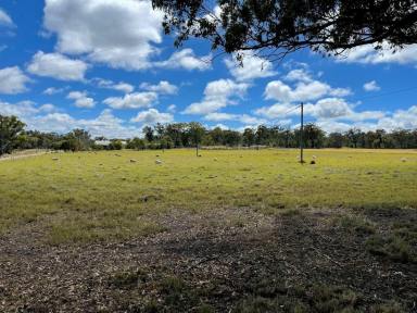 Lifestyle For Sale - QLD - Dalveen - 4374 - When opportunity comes knocking!  (Image 2)