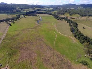 Mixed Farming For Sale - NSW - Kyogle - 2474 - 250 ACRES - GHINNI GHI  (Image 2)