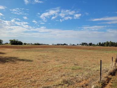 Farmlet For Sale - VIC - Nyah - 3594 - Your own piece of paradise  (Image 2)