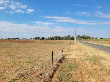 Farmlet For Sale - VIC - Nyah - 3594 - Your own piece of paradise  (Image 2)